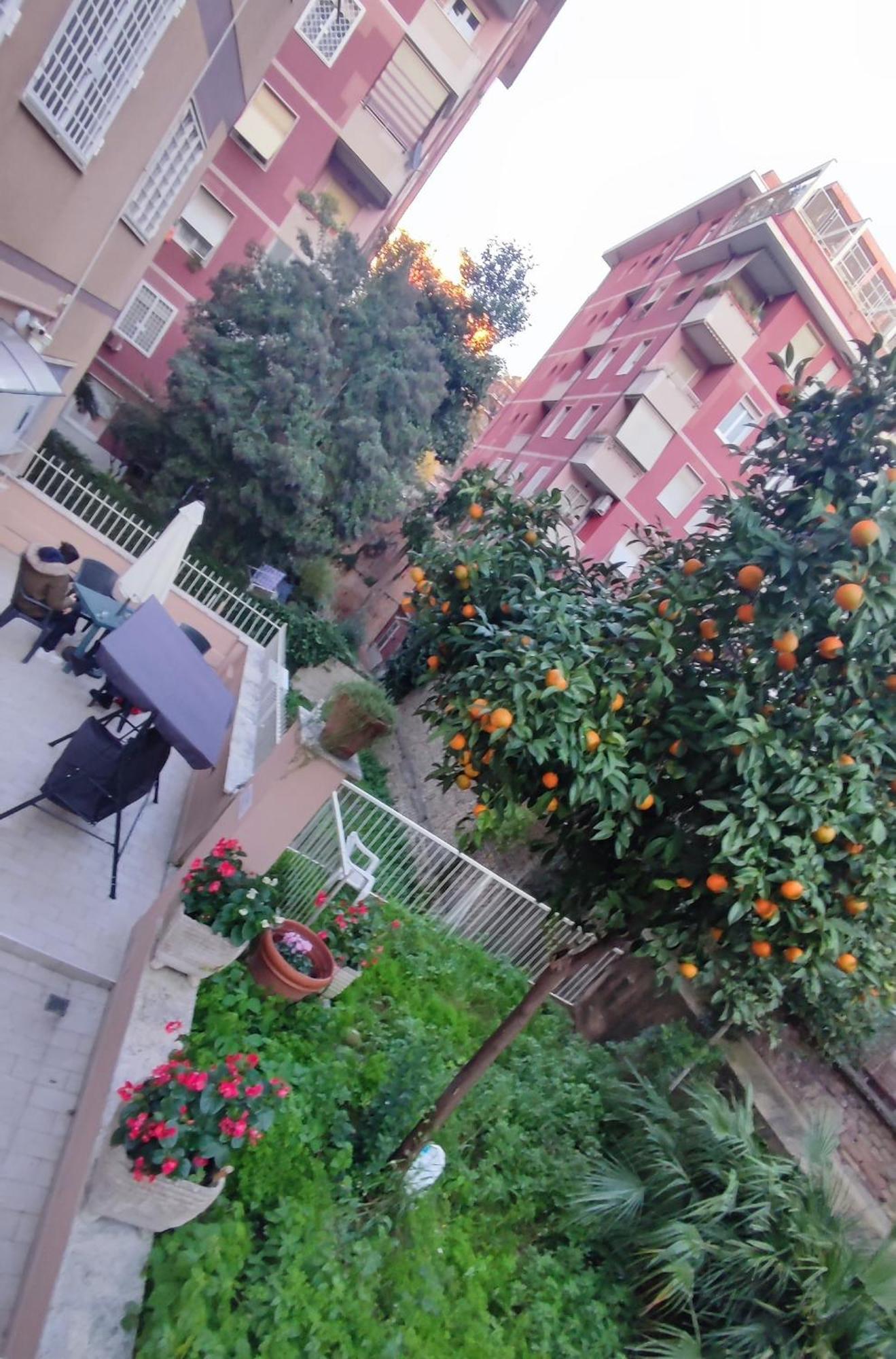 Vatican Green Garden Rom Exterior foto